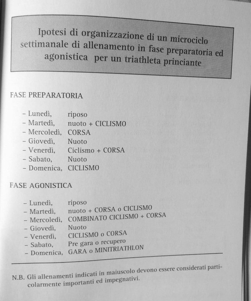 microciclo principiante