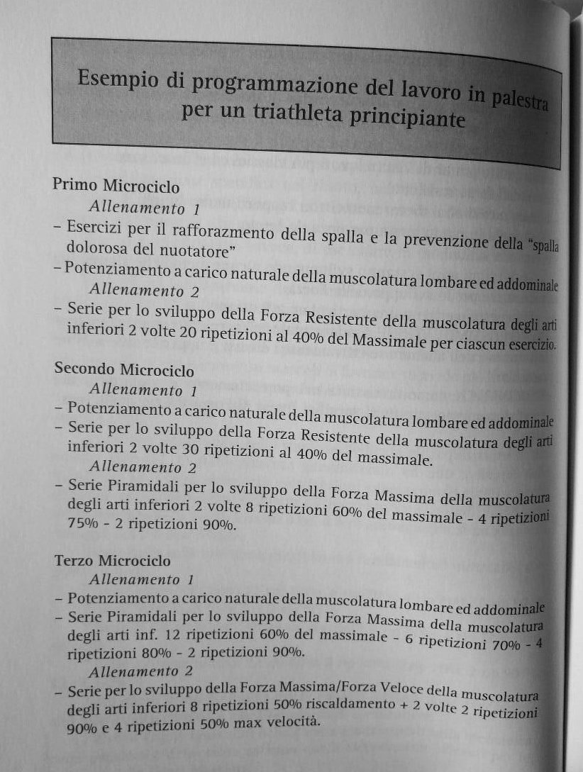 palestra principiante